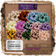 (image for) FCDflowerfrenzypack-PTU-CU